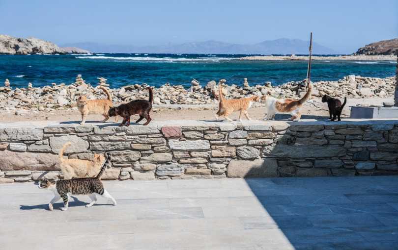 Καμπανάκι για τη Δήλο: Το νησί βυθίζεται ένα εκατοστό τον χρόνο