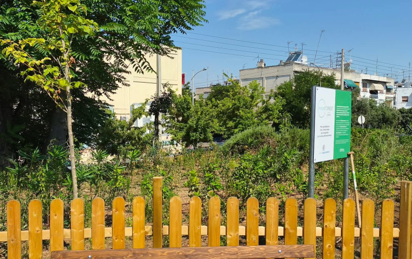 Θεσσαλονίκη: Το πρώτο της Urban Micro Forest απέκτησε η πόλη