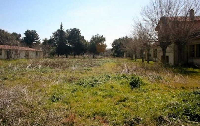 Θεσσαλονίκη - Στρατόπεδο Παπαβασιλείου: «Προίκα», ακίνητο 20.000 τ.μ από το ΤΕΘΑ στη Μητρόπολη Νεαπόλεως - Σταυρουπόλεως