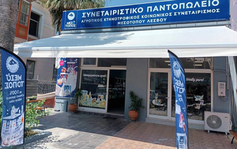 Λέσβος: Οι κτηνοτρόφοι και αγρότες του νησιού προσπαθούν να επανακάμψουν μετά τον αφθώδη πυρετό