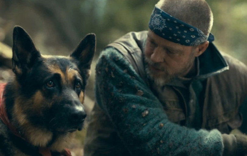 «Παγωμένο» το ελληνικό Box Office: Απώλειες στις αίθουσες παρά τις νέες πρεμιέρες - Στην κορυφή «Το Ημερολόγιο της Βέριτι»