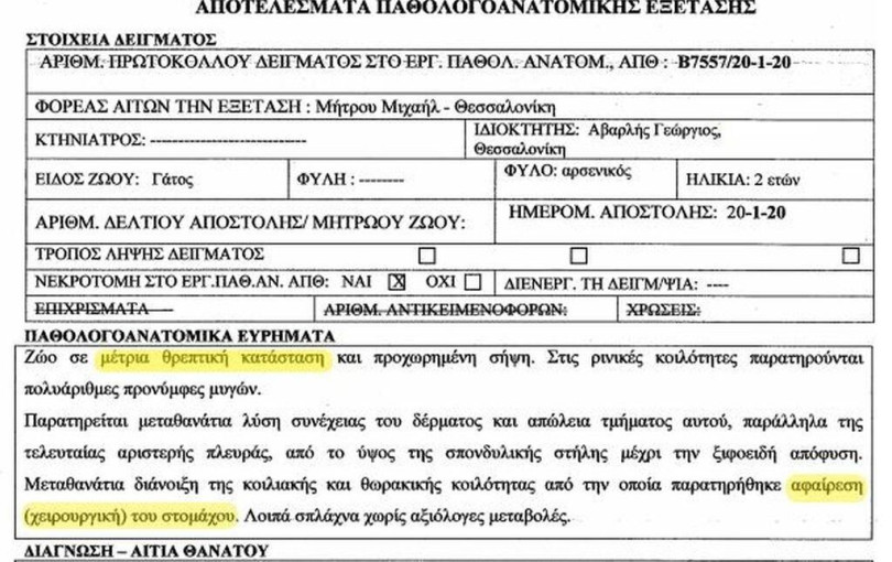 Αστυνομική υπηρεσία για την κακοποίηση των ζώων ζητά ο Γ. Αβαρλής