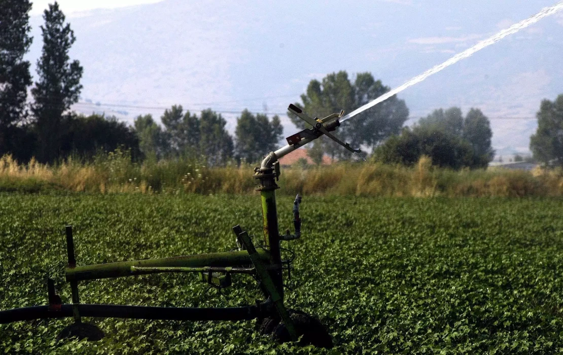 Παράταση για τις αγροτικές ενισχύσεις: Νέα προθεσμία για την ΕΑΕ 2026 - Τι αλλάζει για τους παραγωγούς