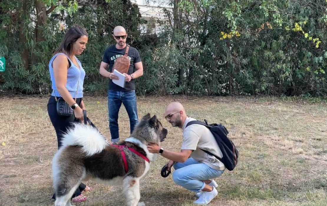Θεσσαλονίκη: Πανελλαδική πρωτιά στη διαχείριση των ζώων συντροφιάς με τη συνδρομή ειδικής ομάδας της ΕΛ.ΑΣ. - Πόσο αυξήθηκε ο πληθυσμός τους το 2021-2025 (πίνακες)