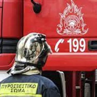 Συναγερμός για φωτιά στην Εύβοια - Ισχυρές δυνάμεις της Πυροσβεστικής στον Δήμο Διρφύων-Μεσσαπίων