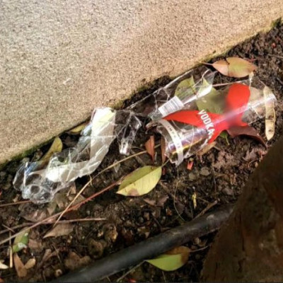 Θεσσαλονίκη: Αντιμέτωποι με... ναρκωτικά και ποτά είναι οι μαθητές του 16ου Νηπιαγωγείου Συκεών - Καταγγελίες γονέων